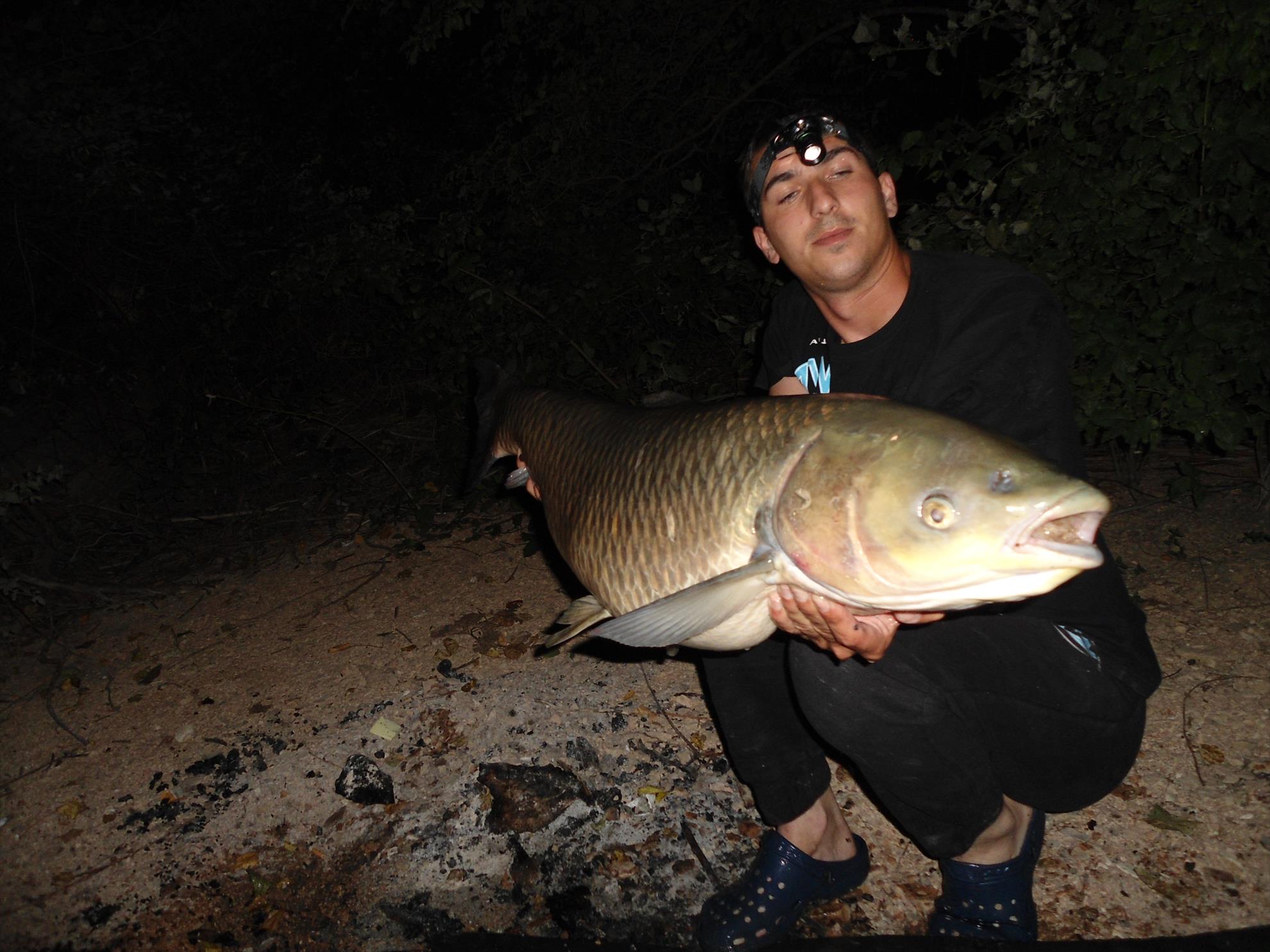 Ape libere cu Any Water - dsc04660.JPG